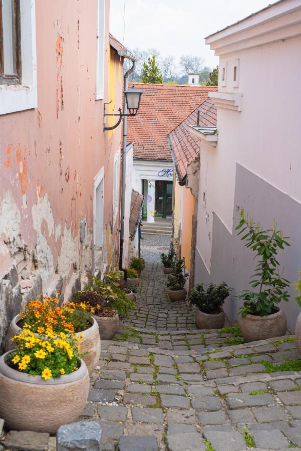Lotus Apartment Szentendre Eksteriør bilde