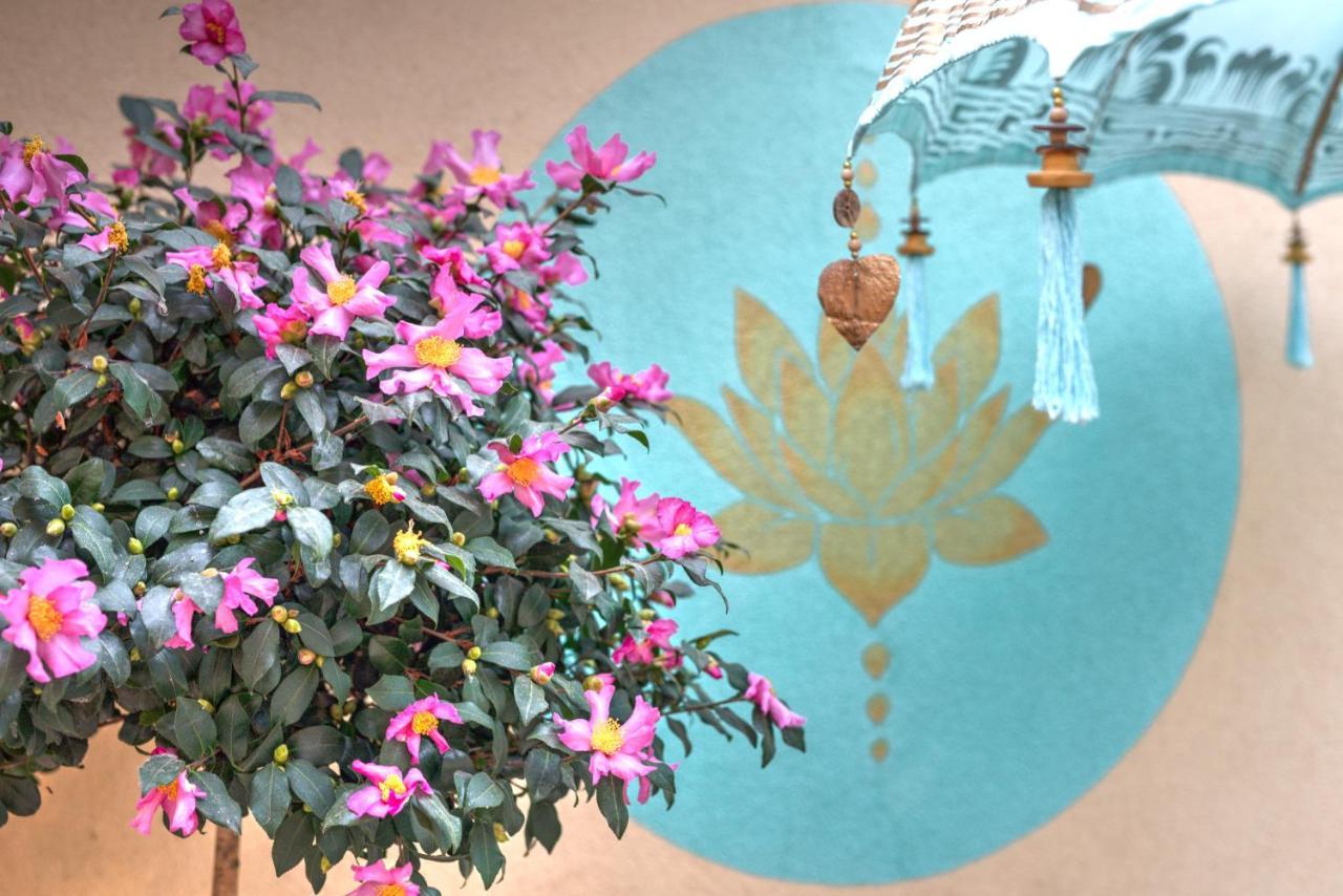 Lotus Apartment Szentendre Eksteriør bilde